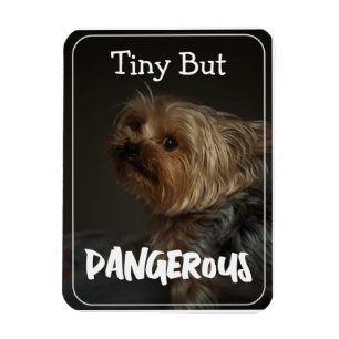 Magnet Flexible Mignon Personnalisé Terrier Maman Chien Animal de