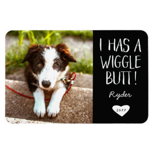 Magnet Flexible Mignonne "J'ai un petit bout de chien" Photo pour
