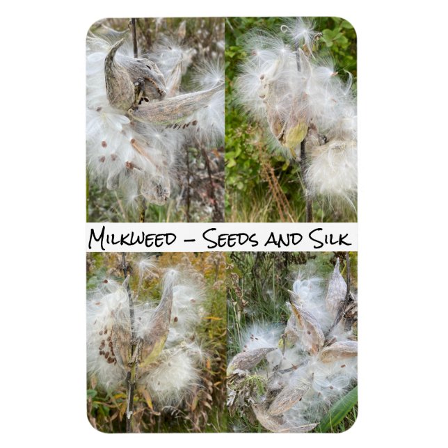 Magnet Flexible Milkweed | Flexible naturel (Vertical)