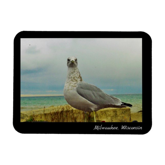 Magnet Flexible Milwaukee, Wisconsin (Horizontal)