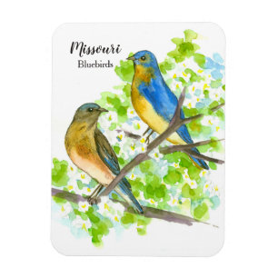 Magnet Flexible Missouri Souvenir Bluebirds Hawthorn Tree