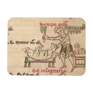 Magnet Flexible Mme 54. f.6r novembre : Tuant le porc, d'un Cist