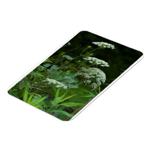 Magnet Flexible modèle d'aimant à réchaud 3x4