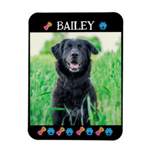 Magnet Flexible Moderne simple Nom et photo de l'animal