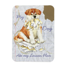 Mon Akita Mange Mon Plan De Leçon