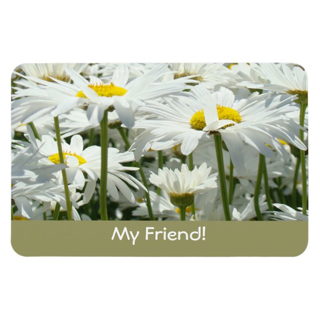 Magnet Flexible Mon ami ! aimants Marguerites blanches Fleurs Amis (Horizontal)