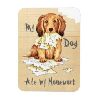 Mon Dachshund allongé a mangé mes devoirs