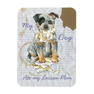 Magnet Flexible Mon DCA a mangé mon plan de leçon