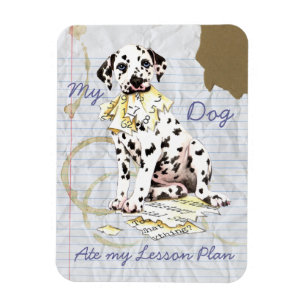 Magnet Flexible Mon plan de leçons pour la Dalmatie