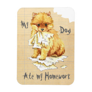 Magnet Flexible Mon Pomeranian a mangé mon travail