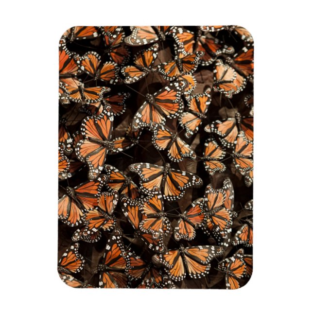 Magnet Flexible Monarque Butterflies (Vertical)