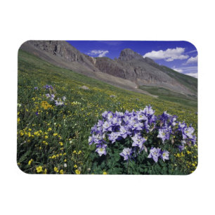 Magnet Flexible Montagnes et fleurs sauvages dans un pré alpin, Bl