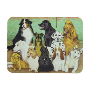 Magnet Flexible Montre de chien