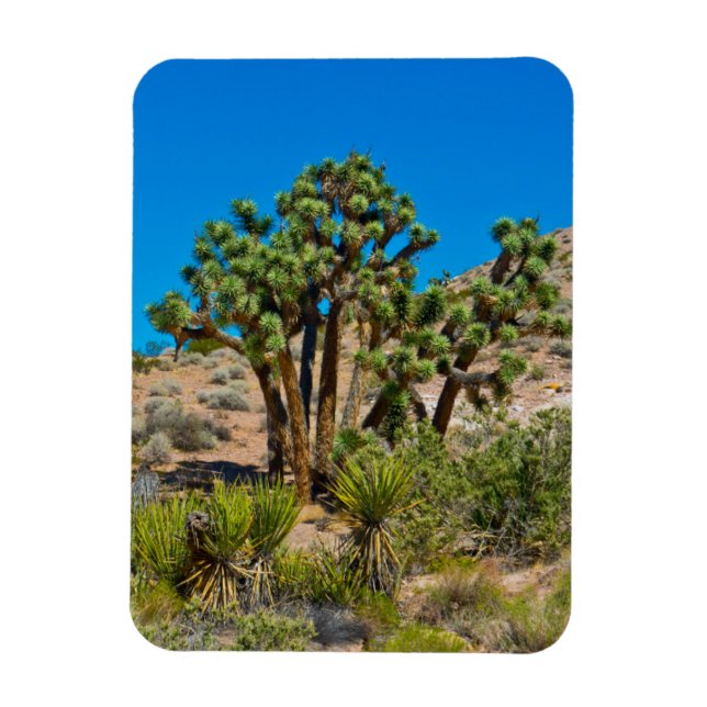Magnet Flexible Monument national de Gold Butte (Vertical)