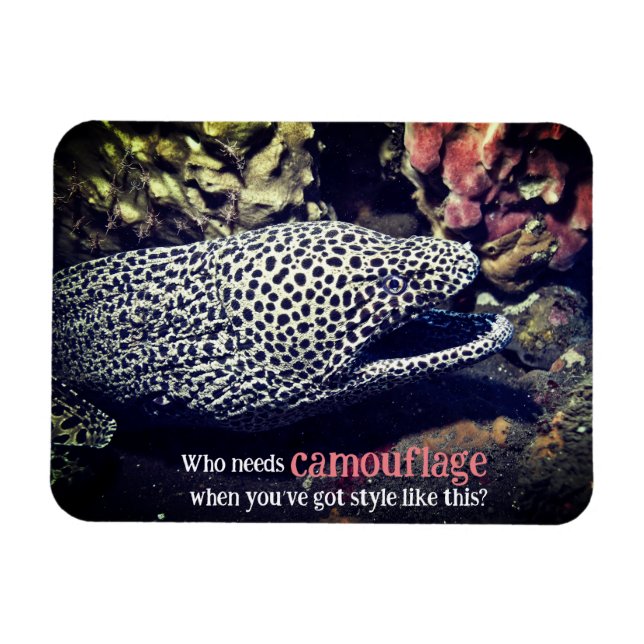 Magnet Flexible Moray tacheté sous l'eau (Horizontal)
