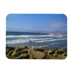 Magnet Flexible Morro Bay, Californie