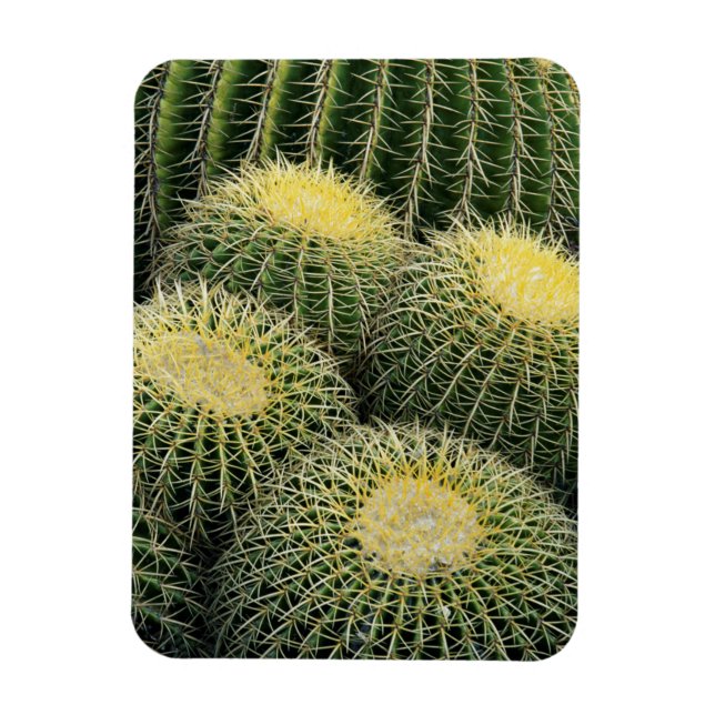 Magnet Flexible Motif de cactus (Vertical)