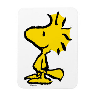 Magnet Flexible Motif de design classique Woodstock