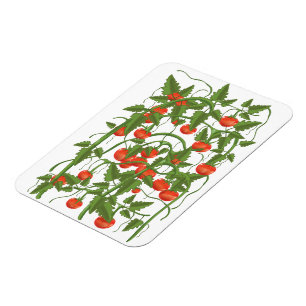 Magnet Flexible Motif de tomates