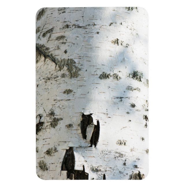 Magnet Flexible Motif d'écorce de bouleau (Vertical)