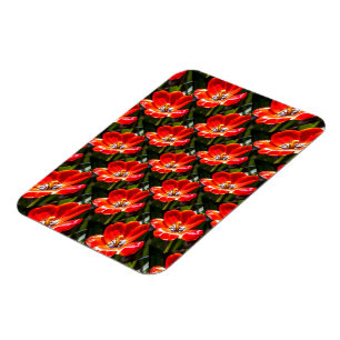 Magnet Flexible Motif des Tulipes rouges