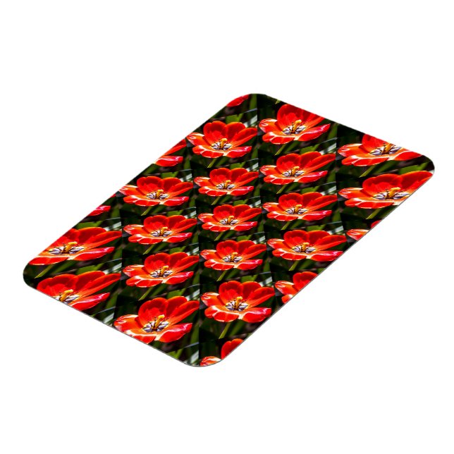 Magnet Flexible Motif des Tulipes rouges (Côté Gauche)