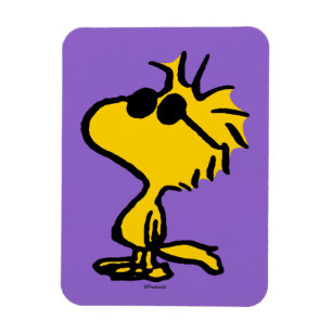 Magnet Flexible Motif Lunettes de soleil Cool Woodstock