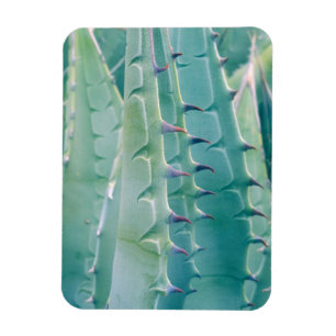 Magnet Flexible Motifs d'une plante d'Agave