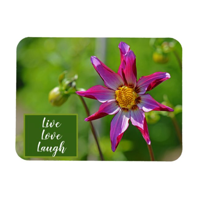 Magnet Flexible Motivation de la fleur rose et violet de Dahlia (Horizontal)