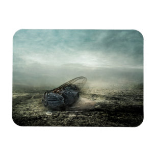 Magnet Flexible Mouche 2013