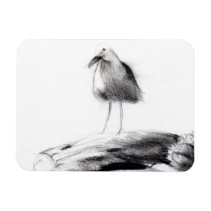 Magnet Flexible Mouette 2012 de la Californie