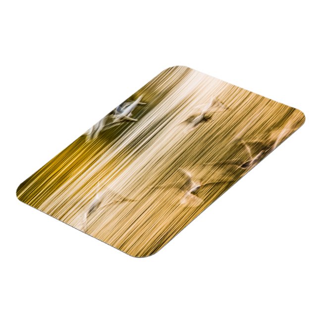 Magnet Flexible Mouettes volantes - abstrait (Côté Gauche)