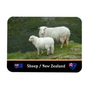 Magnet Flexible Moutons, agneaux et animaux de campagne célèbres /