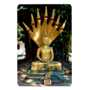 Magnet Flexible Mucalinda