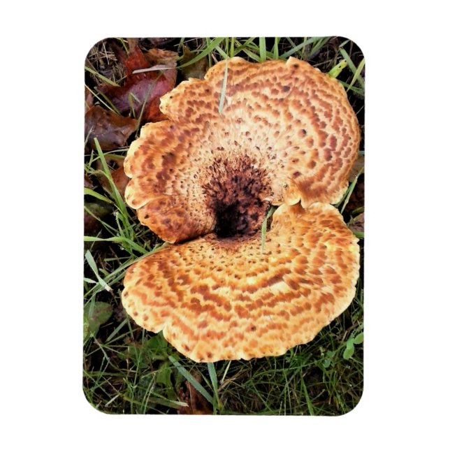 Magnet Flexible Mushroom in the Forest (Vertical)