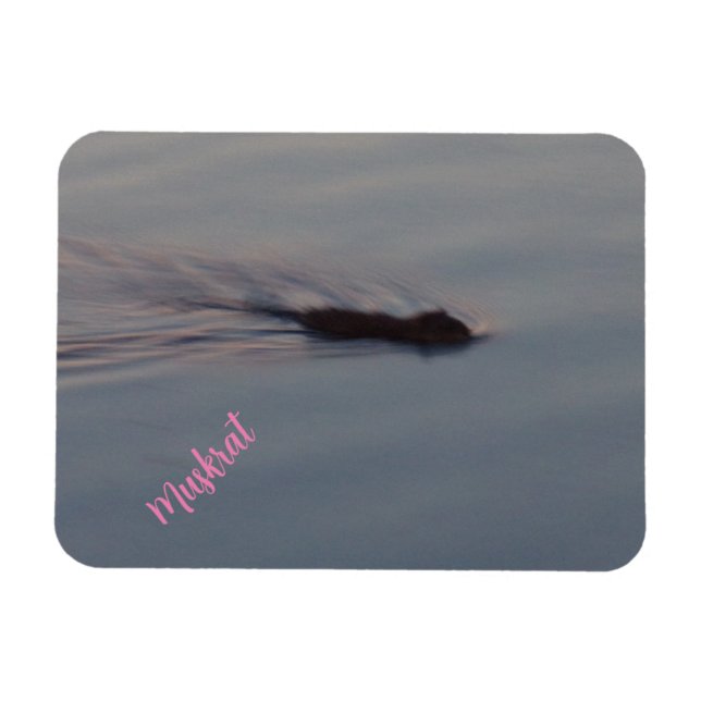 Magnet Flexible Muskrat dans le Minnesota aimant flexible (Horizontal)