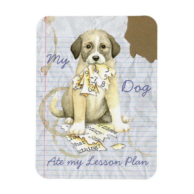 Magnet Flexible My Anatolian Ate My Lesson Plan (Vertical)