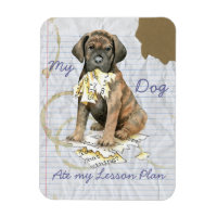 My Cane Corso Ate Mon Plan De Leçon