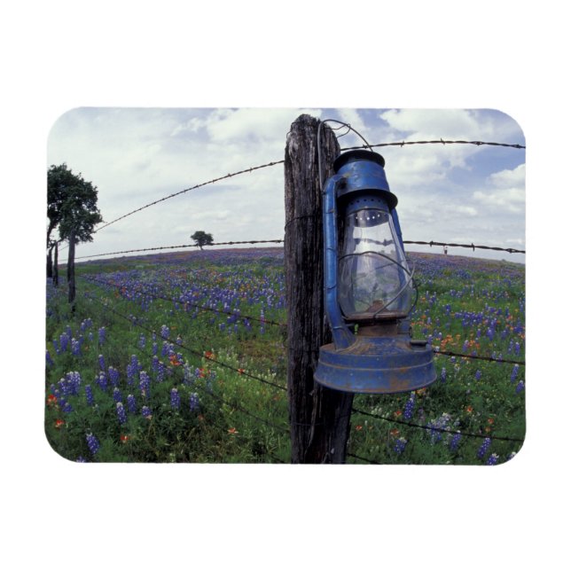 Magnet Flexible N.A., États-Unis, Texas, Llano, Lanterne bleue, Ch (Horizontal)