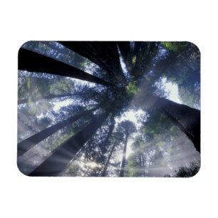 Magnet Flexible NA, États-Unis, Californie, État de Del Norte Re