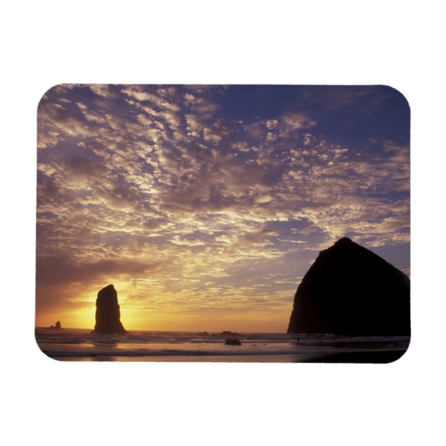 Magnet Flexible NA, États-Unis, Oregon, côte de l'Oregon, Canon Be (Horizontal)