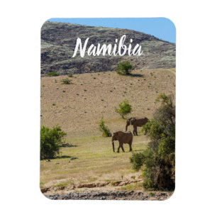 Magnet Flexible Namibie Afrique Huab River Elephant Damaraland