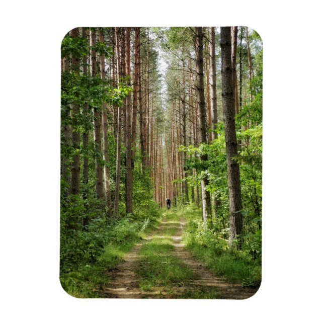 Magnet Flexible Nature Paysage Paysage Forêt Arbres Biélorussie (Vertical)
