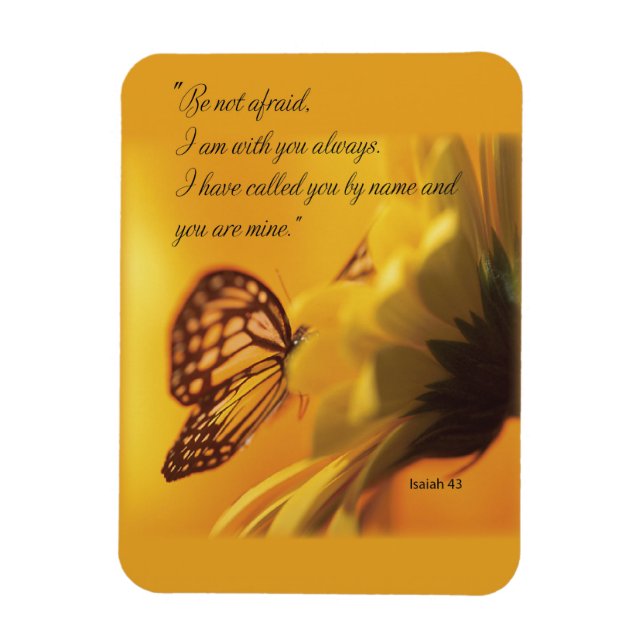 Magnet Flexible N'ayez pas peur papillon religieux sur la margueri (Vertical)