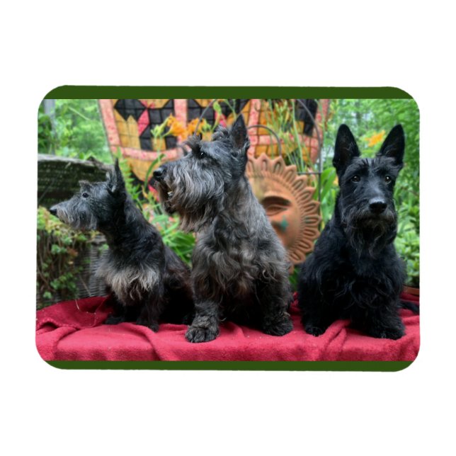 Magnet Flexible Ne regardera pas (Horizontal)