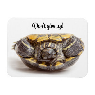Magnet Flexible Ne renoncez pas à l'encouragement de la tortue