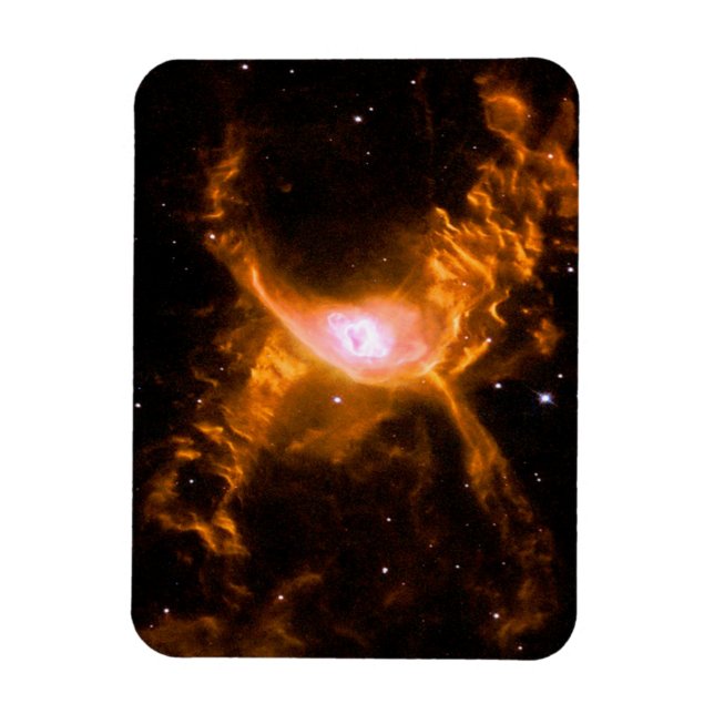 Magnet Flexible Nebula, araignée géante | Cadeau aux amateurs d'ar (Vertical)