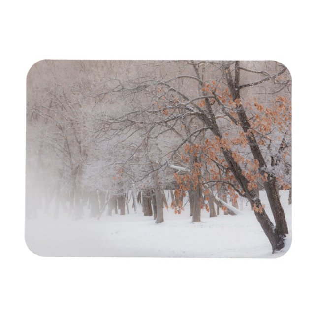 Magnet Flexible Neige d'hiver | Lac Kussharo (Horizontal)