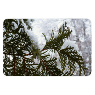 Magnet Flexible Neige sur les branches À feuillage persistant