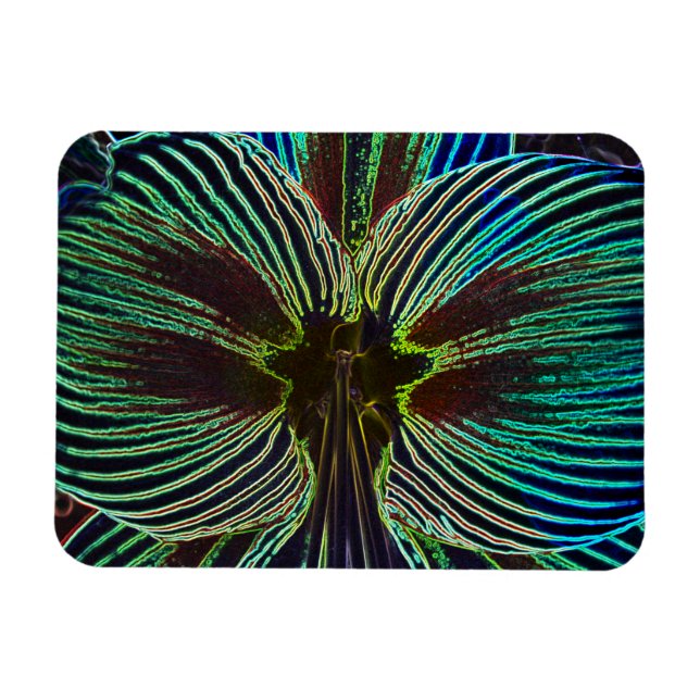 Magnet Flexible Neon Amaryllis (Horizontal)